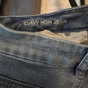 AE Curvy Mom Jean